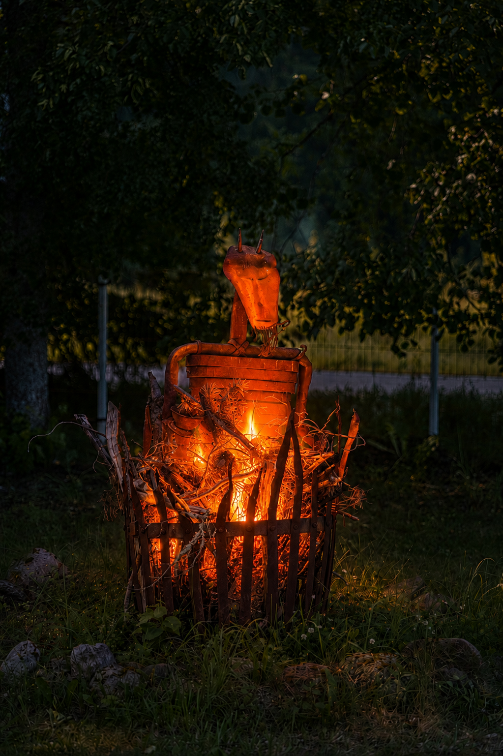Grilli- ja lõkkeplats