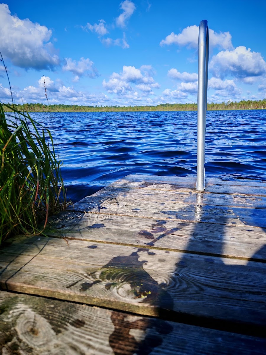 Mustjärv (Luhasoo matkarajal)
