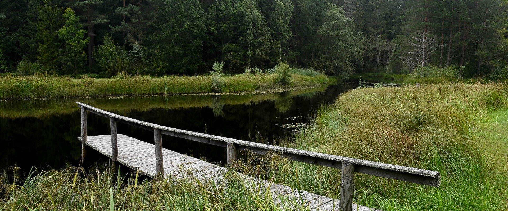 Pähni loodusõpperada