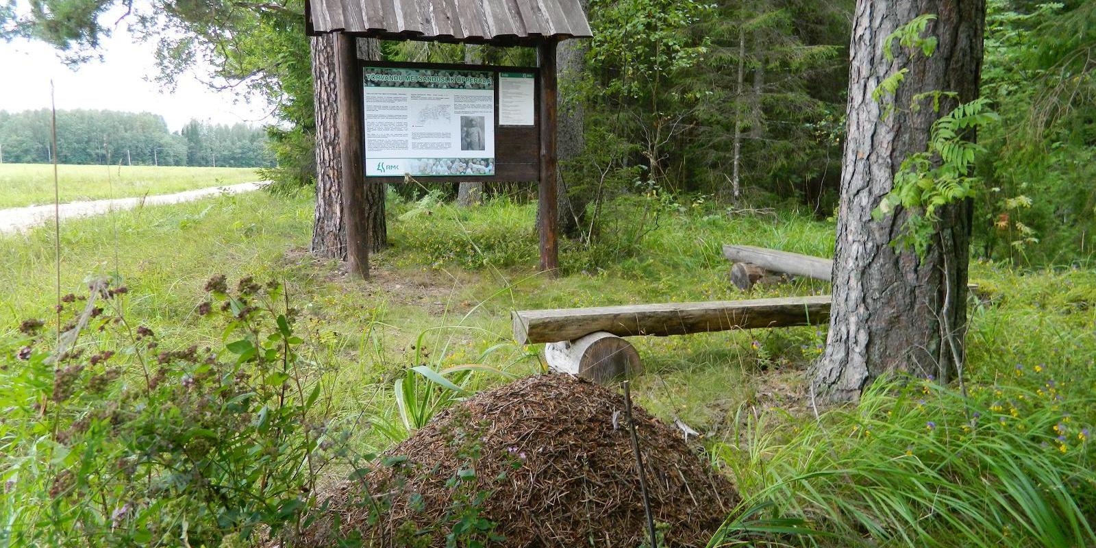 Tõrvandu metsaõpperada